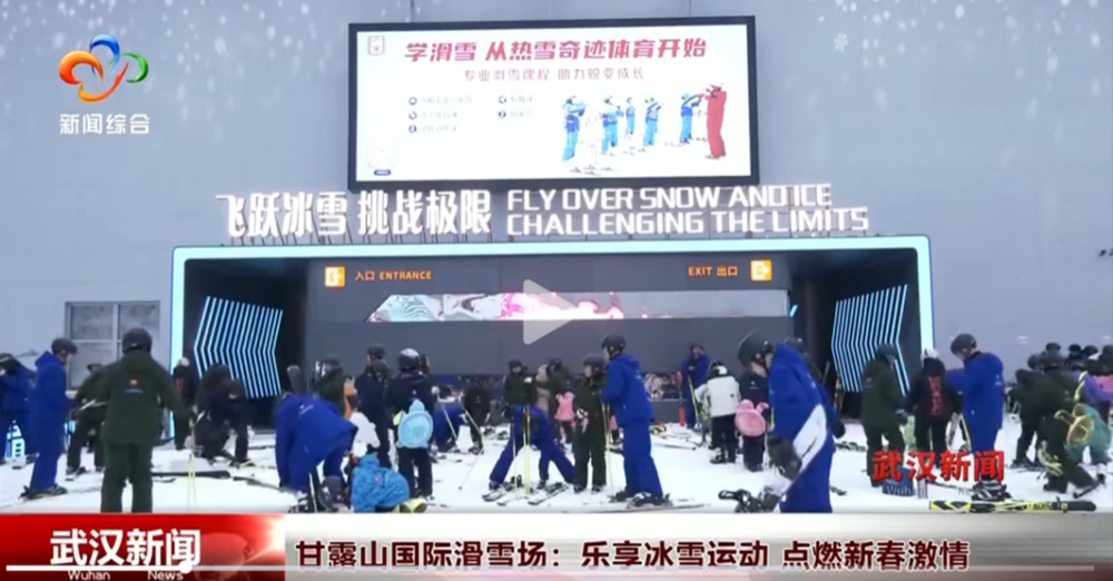现得尤为明